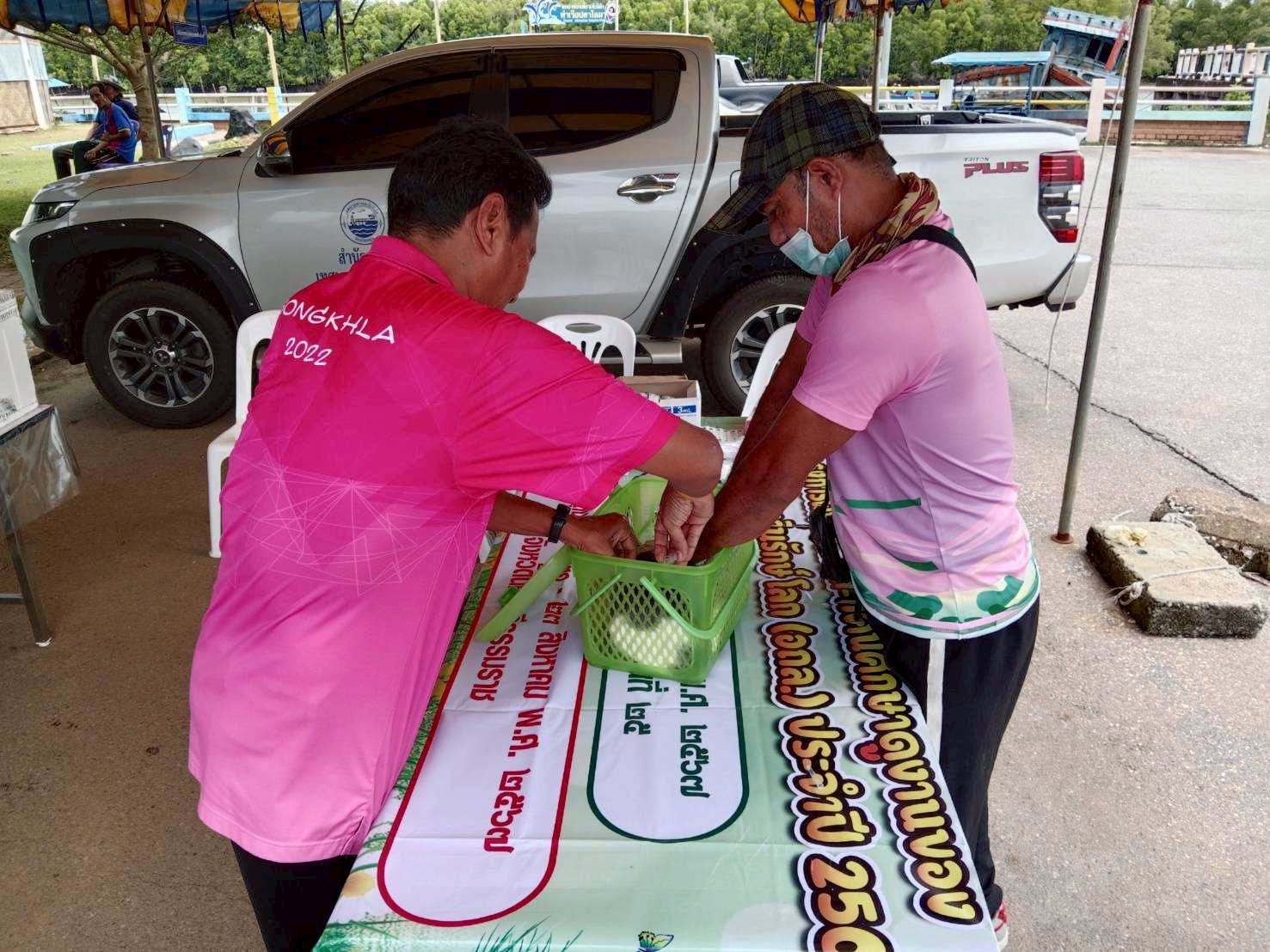 "โครงการสัตว์ปลอดโรค คนปลอดภัยจากโรคพิษสุนัขบ้า"
.
       วันที่ 30 กันยายน 2568  เทศบาลตำบลเจ๊ะบิลัง โดย นายยาหยา หลังจิ นายกเทศมนตรีตำบลเจ๊ะบิลัง มอบหมายให้ กองสาธารณสุขฯ ดำเนินการจัด"โครงการสัตว์ปลอดโรค คนปลอดภัยจากโรคพิษสุนัขบ้า" ให้บริการฉีดวัคซีนป้องกันโรคพิษสุนัขบ้า ฟรี 
         โดยนายอนุวัฒน์ คงเจริญ ผู้อำนวยการกองสาธารณสุขฯ จึงนำพนักงาน และเจ้าหน้าที่กองสาธารณสุขฯ ให้บริการฉีดวัคซีนป้องกันโรคพิษสุนัขบ้า ฟรี ตามประกาศ