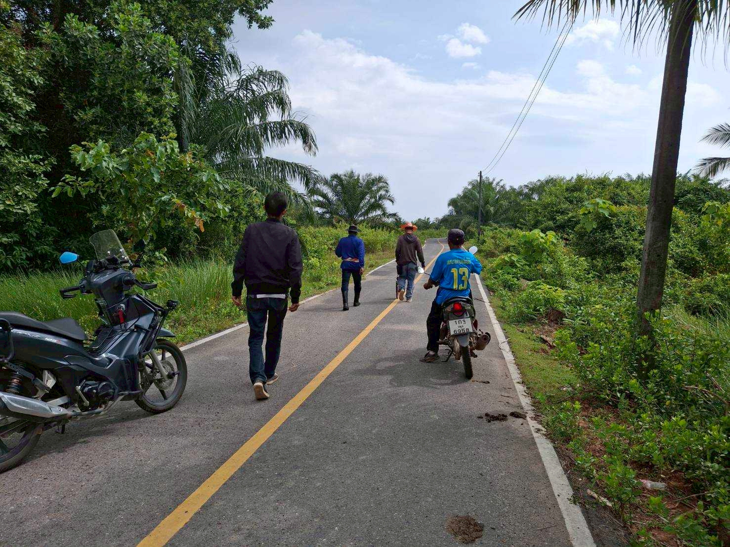 กองช่าง เทศบาลตำบลเจ๊ะบิลัง ลงพื้นที่สำรวจการขยายเขตไฟฟ้าส่วนภูมิภาค